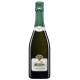 FRANCIACORTA DOCG SATÈN 2019 BIO-CAVALLERI