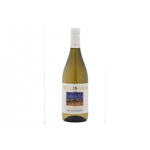 VERDICCHIO DI MATELICA "TERRE DI VALBONA" Doc - CANTINE BELISARIO