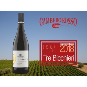 CATARATTO VIGNA DI MANDRANOVA BIO SICILIA DOC 2016 - ALESSANDRO DI CAMPOREALE