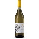 ROERO ARNEIS DOCG 2019 - BEL COLLE  